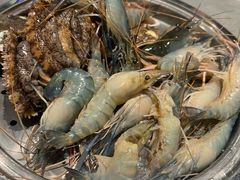 -一方渔歌蒸汽海鲜自助(文化路万达广场店)