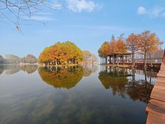 -贡湖湾湿地公园