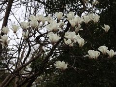 -汇龙潭