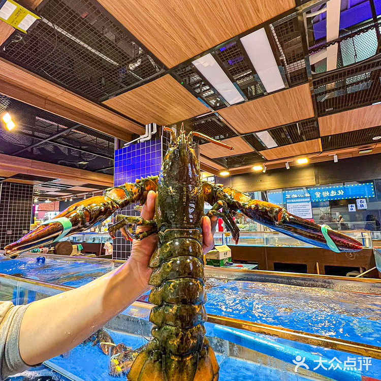 广东人吃海鲜追求一个“鲜”字蒸汽火锅吃过的人都懂