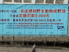 -九龙公园
