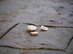 -万尾金滩