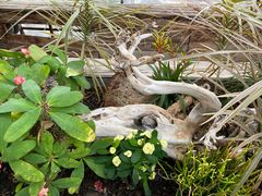-北京植物园-展览温室