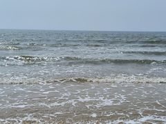 -日照海滨国家森林公园