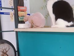 -猫小院猫主题餐厅(南锣旗舰店)
