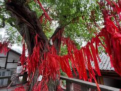 -尧坝古镇