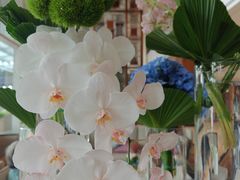 -上海浦东嘉里大酒店