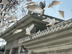 -西安大兴善寺