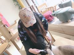 -藏猫猫咖啡主题馆(中央大道店)