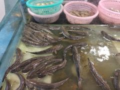 -文华小渔村(椒江康平路店)