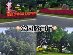 -南宁南湖公园