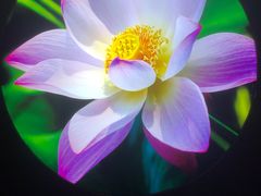 -大自然会所(阳光店)