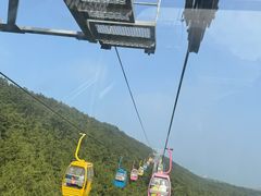 -摩天岭风景区