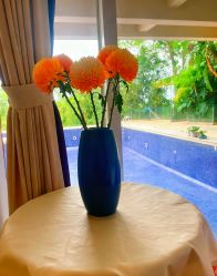 -爱丽馨御景月子中心