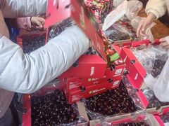 -大板桥综合市场(隆兴购物中心店)