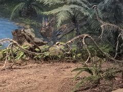 -自贡恐龙博物馆