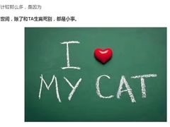 -安安宠医·臻爱宠物医院·宠保定点(营门口路分院)