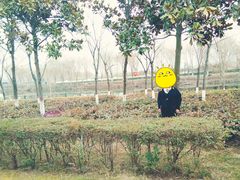 -西安汉城湖景区