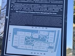 -郑东新区湿地公园