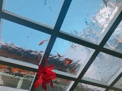 -蜜舍咖啡(洋人街店)