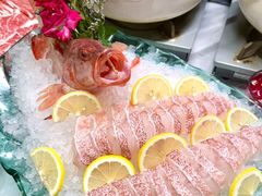 -金龙·打边炉(南京西路店)