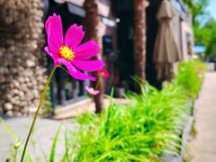 -陈熹公民族美食文化餐厅(中华广场店)