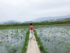 -光明小镇欢乐田园