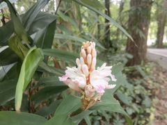 -金山植物公园