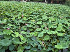 -西南交通大学(九里校区)