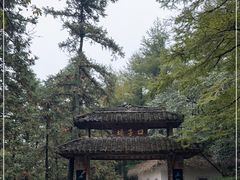 -莫干山风景区