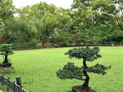 -申粤轩酒楼·三十年粤菜经典(丁香花园店)
