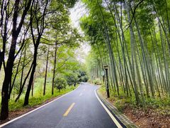 -潜山国家森林公园