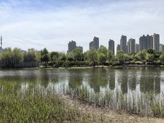 -群力丁香公园