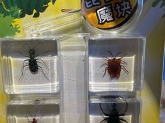 -朵云书院·广富林店
