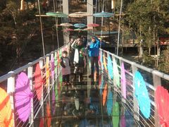 -九龙江国家森林公园