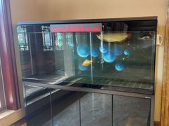 -民族饭荘(新华大街店)