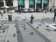 -埃马努埃莱二世拱廊