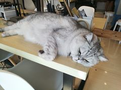 -Oasis绿洲银饰珍珠手作diy(壹方城店)