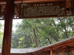 -碧水湾温泉