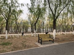 -永定河休闲森林公园