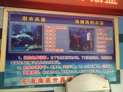 -左海海底世界