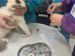 -中农国际动物医院24小时·猫科·骨科·急重症中心