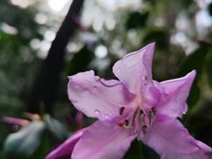 -常德桃花源景区