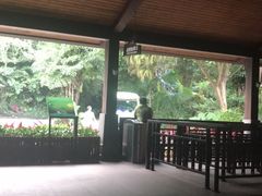 -呀诺达热带雨林