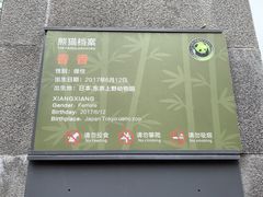 -中国大熊猫保护研究中心雅安碧峰峡基地