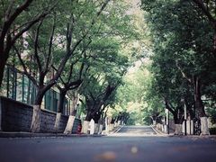 -八大关景区