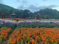 -广州市石门国家森林公园