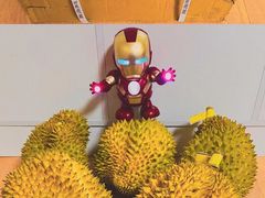 -东方鼎信农副产品交易中心