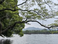-浙江西子宾馆·牡丹厅