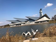 -盐城丹顶鹤湿地生态旅游区